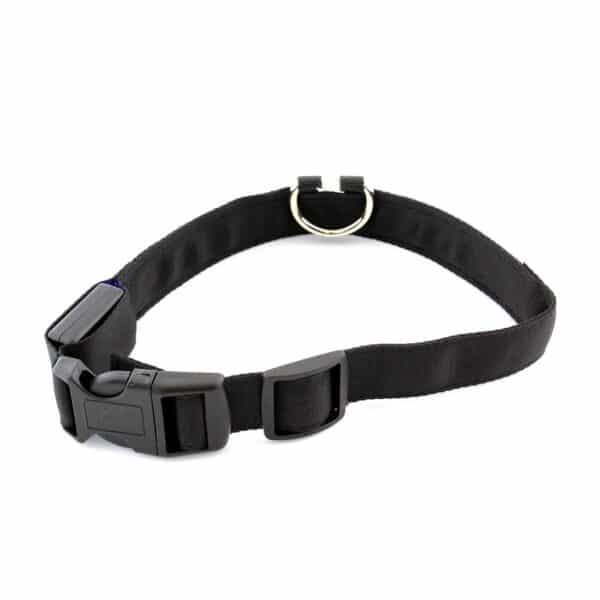 Descoperă pe ShopTasticro o gamă variată de produse din categorii populare precum accesorii auto lumini LED auto invertoare auto sisteme de închidere centralizată audio auto și tuning auto accesorii pentru casă și grădină mobilier pliabil soluții de depozitare și organizare instrumente și unelte birotică și papetărie caiete penare dispensere articole utile pentru școală birou sau home office jucării și jocuri pentru copii pături saltele și accesorii pet shop pentru animale de companie toate disponibile cu livrare rapidă gratuită la comenzi peste 200 lei retur eficient și suport clienți de încredere filtre inteligente precum produse n stoc sau nou prețuri reduse și oferte permanente astfel înct dacă ești în căutarea unor accesorii auto produse pentru casă și grădină rechizite școlare idei de cadouri sau articole pentru animale de companie ShopTasticro este magazinul online ideal care apare în Google pentru cele mai căutate produse din România