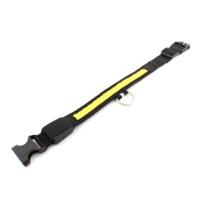 Descoperă pe ShopTasticro o gamă variată de produse din categorii populare precum accesorii auto lumini LED auto invertoare auto sisteme de închidere centralizată audio auto și tuning auto accesorii pentru casă și grădină mobilier pliabil soluții de depozitare și organizare instrumente și unelte birotică și papetărie caiete penare dispensere articole utile pentru școală birou sau home office jucării și jocuri pentru copii pături saltele și accesorii pet shop pentru animale de companie toate disponibile cu livrare rapidă gratuită la comenzi peste 200 lei retur eficient și suport clienți de încredere filtre inteligente precum produse n stoc sau nou prețuri reduse și oferte permanente astfel înct dacă ești în căutarea unor accesorii auto produse pentru casă și grădină rechizite școlare idei de cadouri sau articole pentru animale de companie ShopTasticro este magazinul online ideal care apare în Google pentru cele mai căutate produse din România