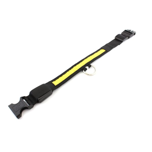 Descoperă pe ShopTasticro o gamă variată de produse din categorii populare precum accesorii auto lumini LED auto invertoare auto sisteme de închidere centralizată audio auto și tuning auto accesorii pentru casă și grădină mobilier pliabil soluții de depozitare și organizare instrumente și unelte birotică și papetărie caiete penare dispensere articole utile pentru școală birou sau home office jucării și jocuri pentru copii pături saltele și accesorii pet shop pentru animale de companie toate disponibile cu livrare rapidă gratuită la comenzi peste 200 lei retur eficient și suport clienți de încredere filtre inteligente precum produse n stoc sau nou prețuri reduse și oferte permanente astfel înct dacă ești în căutarea unor accesorii auto produse pentru casă și grădină rechizite școlare idei de cadouri sau articole pentru animale de companie ShopTasticro este magazinul online ideal care apare în Google pentru cele mai căutate produse din România