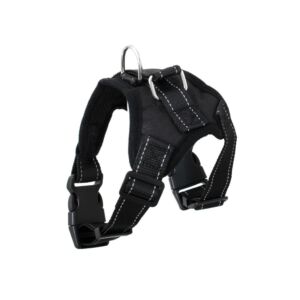 Descoperă pe ShopTasticro o gamă variată de produse din categorii populare precum accesorii auto lumini LED auto invertoare auto sisteme de închidere centralizată audio auto și tuning auto accesorii pentru casă și grădină mobilier pliabil soluții de depozitare și organizare instrumente și unelte birotică și papetărie caiete penare dispensere articole utile pentru școală birou sau home office jucării și jocuri pentru copii pături saltele și accesorii pet shop pentru animale de companie toate disponibile cu livrare rapidă gratuită la comenzi peste 200 lei retur eficient și suport clienți de încredere filtre inteligente precum produse n stoc sau nou prețuri reduse și oferte permanente astfel înct dacă ești în căutarea unor accesorii auto produse pentru casă și grădină rechizite școlare idei de cadouri sau articole pentru animale de companie ShopTasticro este magazinul online ideal care apare în Google pentru cele mai căutate produse din România