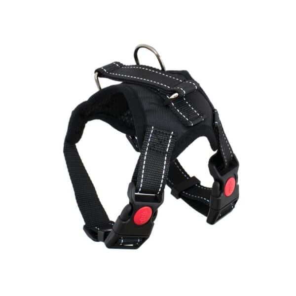 Descoperă pe ShopTasticro o gamă variată de produse din categorii populare precum accesorii auto lumini LED auto invertoare auto sisteme de închidere centralizată audio auto și tuning auto accesorii pentru casă și grădină mobilier pliabil soluții de depozitare și organizare instrumente și unelte birotică și papetărie caiete penare dispensere articole utile pentru școală birou sau home office jucării și jocuri pentru copii pături saltele și accesorii pet shop pentru animale de companie toate disponibile cu livrare rapidă gratuită la comenzi peste 200 lei retur eficient și suport clienți de încredere filtre inteligente precum produse n stoc sau nou prețuri reduse și oferte permanente astfel înct dacă ești în căutarea unor accesorii auto produse pentru casă și grădină rechizite școlare idei de cadouri sau articole pentru animale de companie ShopTasticro este magazinul online ideal care apare în Google pentru cele mai căutate produse din România