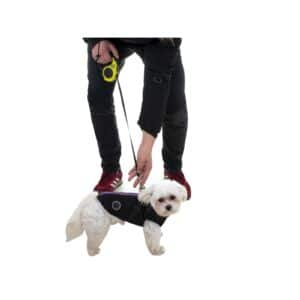 Descoperă pe ShopTasticro o gamă variată de produse din categorii populare precum accesorii auto lumini LED auto invertoare auto sisteme de închidere centralizată audio auto și tuning auto accesorii pentru casă și grădină mobilier pliabil soluții de depozitare și organizare instrumente și unelte birotică și papetărie caiete penare dispensere articole utile pentru școală birou sau home office jucării și jocuri pentru copii pături saltele și accesorii pet shop pentru animale de companie toate disponibile cu livrare rapidă gratuită la comenzi peste 200 lei retur eficient și suport clienți de încredere filtre inteligente precum produse n stoc sau nou prețuri reduse și oferte permanente astfel înct dacă ești în căutarea unor accesorii auto produse pentru casă și grădină rechizite școlare idei de cadouri sau articole pentru animale de companie ShopTasticro este magazinul online ideal care apare în Google pentru cele mai căutate produse din România