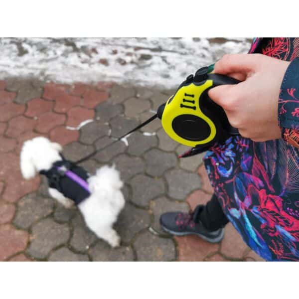 Descoperă pe ShopTasticro o gamă variată de produse din categorii populare precum accesorii auto lumini LED auto invertoare auto sisteme de închidere centralizată audio auto și tuning auto accesorii pentru casă și grădină mobilier pliabil soluții de depozitare și organizare instrumente și unelte birotică și papetărie caiete penare dispensere articole utile pentru școală birou sau home office jucării și jocuri pentru copii pături saltele și accesorii pet shop pentru animale de companie toate disponibile cu livrare rapidă gratuită la comenzi peste 200 lei retur eficient și suport clienți de încredere filtre inteligente precum produse n stoc sau nou prețuri reduse și oferte permanente astfel înct dacă ești în căutarea unor accesorii auto produse pentru casă și grădină rechizite școlare idei de cadouri sau articole pentru animale de companie ShopTasticro este magazinul online ideal care apare în Google pentru cele mai căutate produse din România