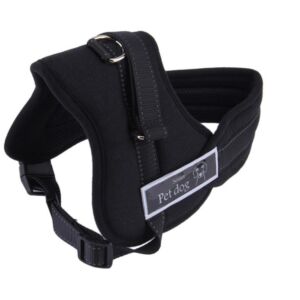 Descoperă pe ShopTasticro o gamă variată de produse din categorii populare precum accesorii auto lumini LED auto invertoare auto sisteme de închidere centralizată audio auto și tuning auto accesorii pentru casă și grădină mobilier pliabil soluții de depozitare și organizare instrumente și unelte birotică și papetărie caiete penare dispensere articole utile pentru școală birou sau home office jucării și jocuri pentru copii pături saltele și accesorii pet shop pentru animale de companie toate disponibile cu livrare rapidă gratuită la comenzi peste 200 lei retur eficient și suport clienți de încredere filtre inteligente precum produse n stoc sau nou prețuri reduse și oferte permanente astfel înct dacă ești în căutarea unor accesorii auto produse pentru casă și grădină rechizite școlare idei de cadouri sau articole pentru animale de companie ShopTasticro este magazinul online ideal care apare în Google pentru cele mai căutate produse din România