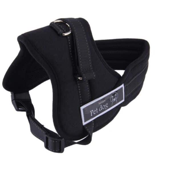 Descoperă pe ShopTasticro o gamă variată de produse din categorii populare precum accesorii auto lumini LED auto invertoare auto sisteme de închidere centralizată audio auto și tuning auto accesorii pentru casă și grădină mobilier pliabil soluții de depozitare și organizare instrumente și unelte birotică și papetărie caiete penare dispensere articole utile pentru școală birou sau home office jucării și jocuri pentru copii pături saltele și accesorii pet shop pentru animale de companie toate disponibile cu livrare rapidă gratuită la comenzi peste 200 lei retur eficient și suport clienți de încredere filtre inteligente precum produse n stoc sau nou prețuri reduse și oferte permanente astfel înct dacă ești în căutarea unor accesorii auto produse pentru casă și grădină rechizite școlare idei de cadouri sau articole pentru animale de companie ShopTasticro este magazinul online ideal care apare în Google pentru cele mai căutate produse din România