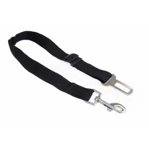 Cumpărăturile online sunt acum mai ușoare ca niciodată pe ShopTastic.ro...