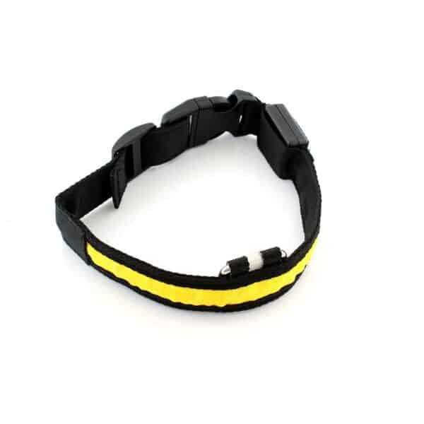 Descoperă pe ShopTasticro o gamă variată de produse din categorii populare precum accesorii auto lumini LED auto invertoare auto sisteme de închidere centralizată audio auto și tuning auto accesorii pentru casă și grădină mobilier pliabil soluții de depozitare și organizare instrumente și unelte birotică și papetărie caiete penare dispensere articole utile pentru școală birou sau home office jucării și jocuri pentru copii pături saltele și accesorii pet shop pentru animale de companie toate disponibile cu livrare rapidă gratuită la comenzi peste 200 lei retur eficient și suport clienți de încredere filtre inteligente precum produse n stoc sau nou prețuri reduse și oferte permanente astfel înct dacă ești în căutarea unor accesorii auto produse pentru casă și grădină rechizite școlare idei de cadouri sau articole pentru animale de companie ShopTasticro este magazinul online ideal care apare în Google pentru cele mai căutate produse din România
