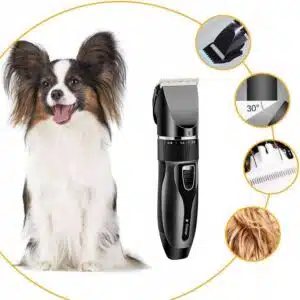 Cumpărăturile online sunt acum mai ușoare ca niciodată pe ShopTastic.ro...