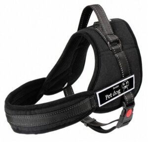 Descoperă pe ShopTasticro o gamă variată de produse din categorii populare precum accesorii auto lumini LED auto invertoare auto sisteme de închidere centralizată audio auto și tuning auto accesorii pentru casă și grădină mobilier pliabil soluții de depozitare și organizare instrumente și unelte birotică și papetărie caiete penare dispensere articole utile pentru școală birou sau home office jucării și jocuri pentru copii pături saltele și accesorii pet shop pentru animale de companie toate disponibile cu livrare rapidă gratuită la comenzi peste 200 lei retur eficient și suport clienți de încredere filtre inteligente precum produse n stoc sau nou prețuri reduse și oferte permanente astfel înct dacă ești în căutarea unor accesorii auto produse pentru casă și grădină rechizite școlare idei de cadouri sau articole pentru animale de companie ShopTasticro este magazinul online ideal care apare în Google pentru cele mai căutate produse din România