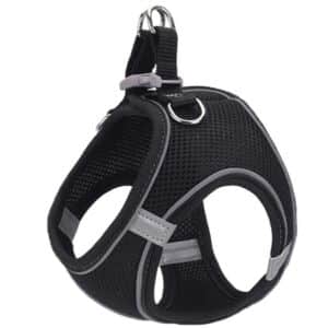Descoperă pe ShopTasticro o gamă variată de produse din categorii populare precum accesorii auto lumini LED auto invertoare auto sisteme de închidere centralizată audio auto și tuning auto accesorii pentru casă și grădină mobilier pliabil soluții de depozitare și organizare instrumente și unelte birotică și papetărie caiete penare dispensere articole utile pentru școală birou sau home office jucării și jocuri pentru copii pături saltele și accesorii pet shop pentru animale de companie toate disponibile cu livrare rapidă gratuită la comenzi peste 200 lei retur eficient și suport clienți de încredere filtre inteligente precum produse n stoc sau nou prețuri reduse și oferte permanente astfel înct dacă ești în căutarea unor accesorii auto produse pentru casă și grădină rechizite școlare idei de cadouri sau articole pentru animale de companie ShopTasticro este magazinul online ideal care apare în Google pentru cele mai căutate produse din România