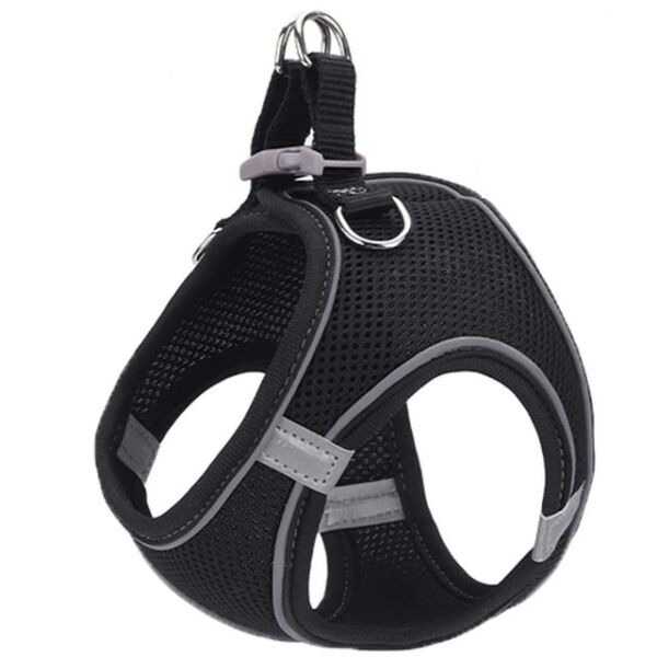 Descoperă pe ShopTasticro o gamă variată de produse din categorii populare precum accesorii auto lumini LED auto invertoare auto sisteme de închidere centralizată audio auto și tuning auto accesorii pentru casă și grădină mobilier pliabil soluții de depozitare și organizare instrumente și unelte birotică și papetărie caiete penare dispensere articole utile pentru școală birou sau home office jucării și jocuri pentru copii pături saltele și accesorii pet shop pentru animale de companie toate disponibile cu livrare rapidă gratuită la comenzi peste 200 lei retur eficient și suport clienți de încredere filtre inteligente precum produse n stoc sau nou prețuri reduse și oferte permanente astfel înct dacă ești în căutarea unor accesorii auto produse pentru casă și grădină rechizite școlare idei de cadouri sau articole pentru animale de companie ShopTasticro este magazinul online ideal care apare în Google pentru cele mai căutate produse din România