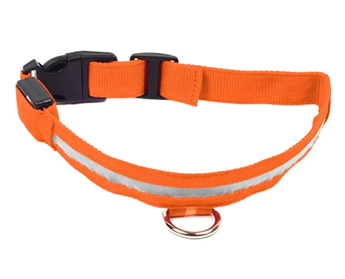 AVEX – Zgarda iluminata cu LED Orange, pentru caine sau pisica, AVX AG232C