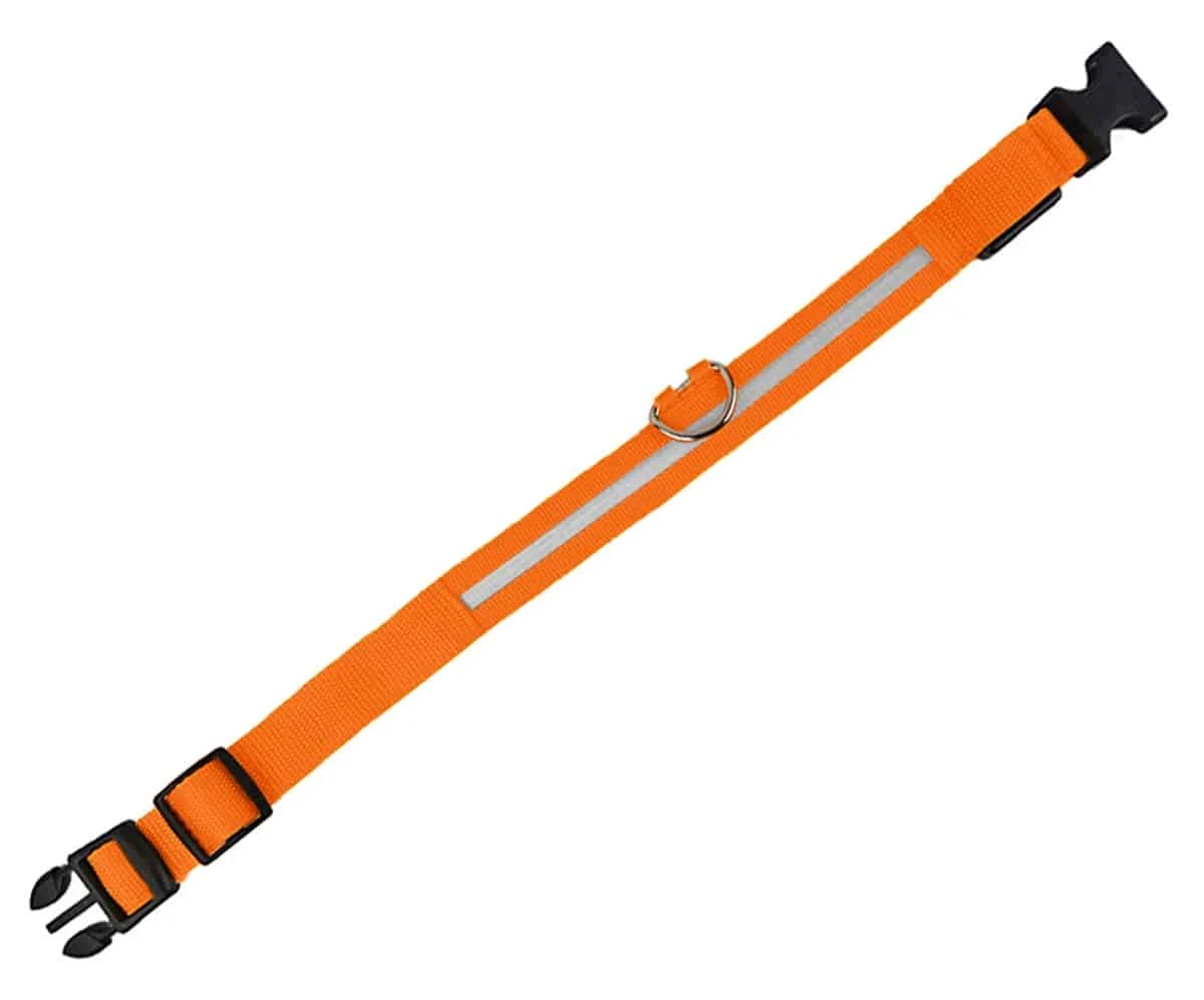 AVEX – Zgarda iluminata cu LED Orange, pentru caine sau pisica, AVX AG232C