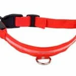 Zgarda iluminata cu LED Rosu, pentru caine sau pisica, AVX-AG232R