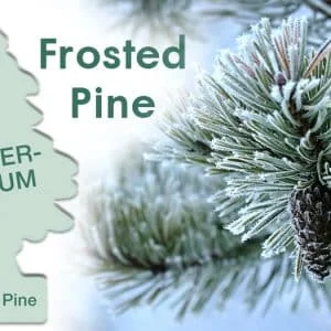 Wunder Baum – Odorizant Auto Wunder Baum®, Frosted Pine