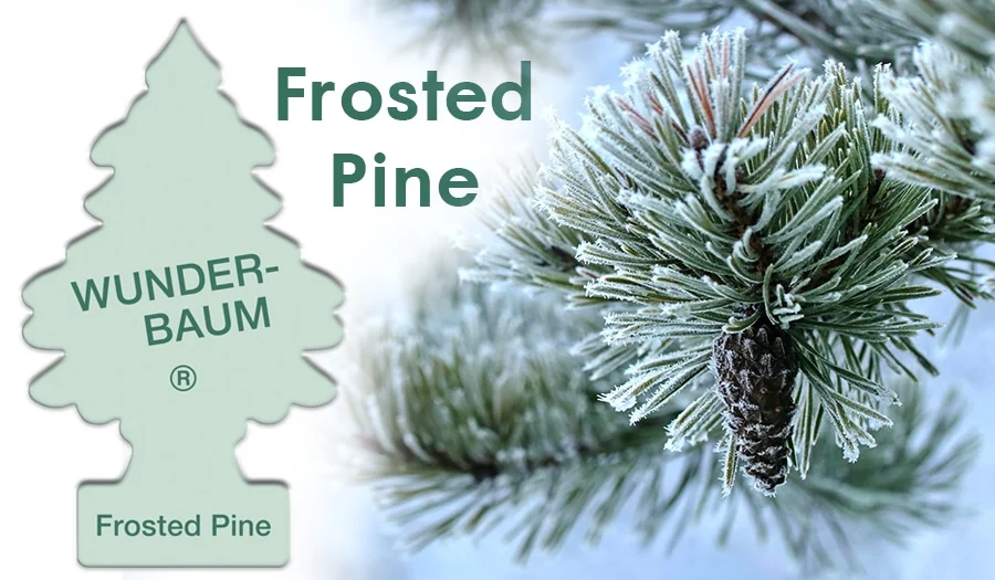 Wunder Baum – Odorizant Auto Wunder Baum®, Frosted Pine