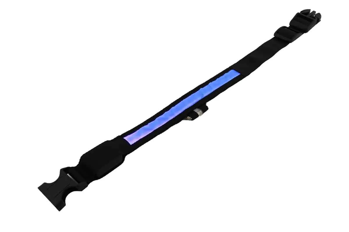 AVEX – Zgarda iluminata cu LED pentru caine sau pisica, culoare Albastra, AVX AG232A