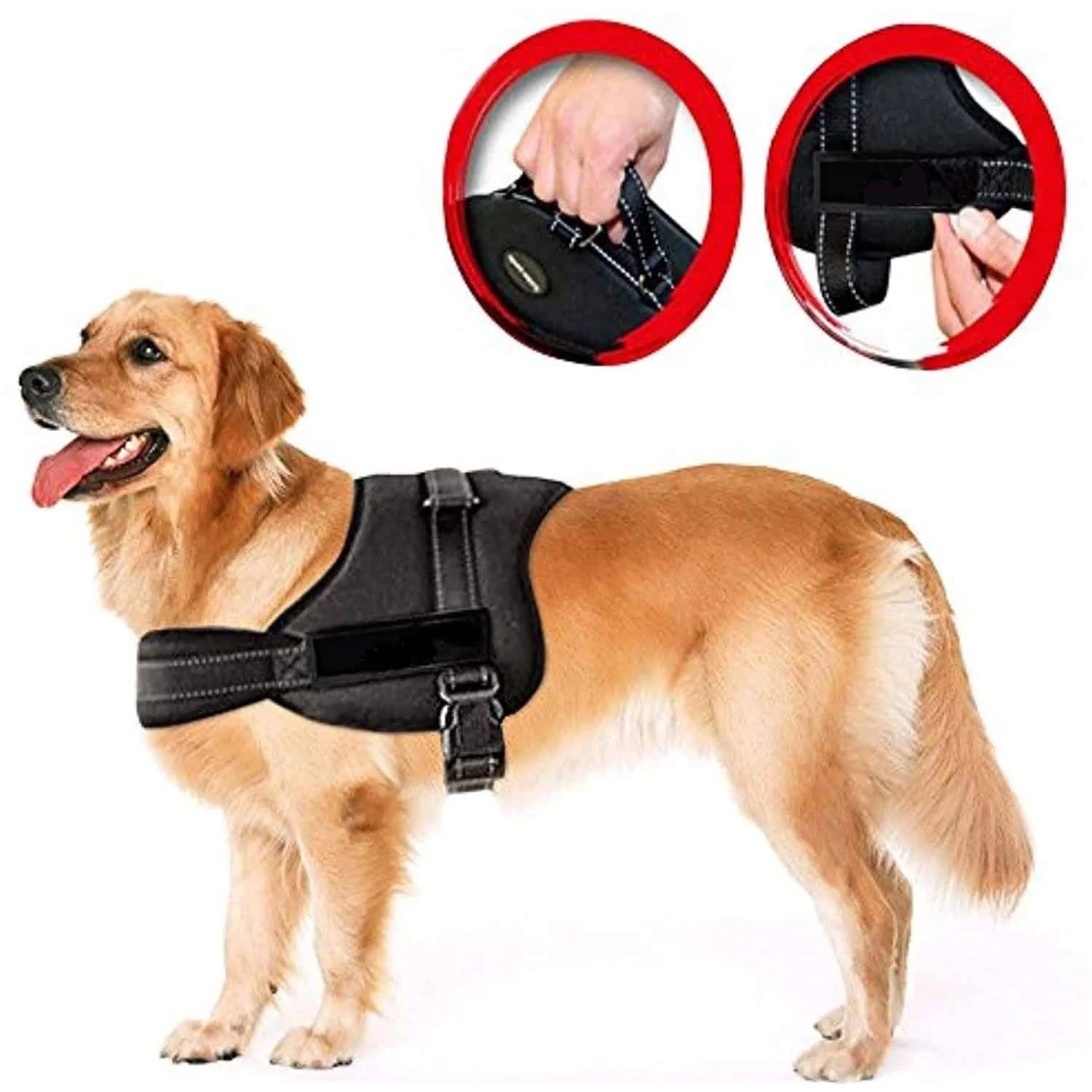 AVEX – Ham pentru caini SENIOR DOG S (60 75cm)
