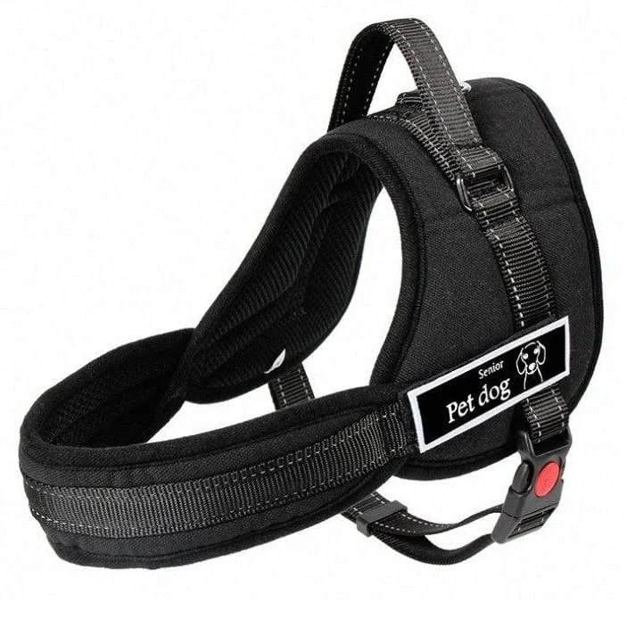 AVEX – Ham pentru caini SENIOR DOG S (60 75cm)
