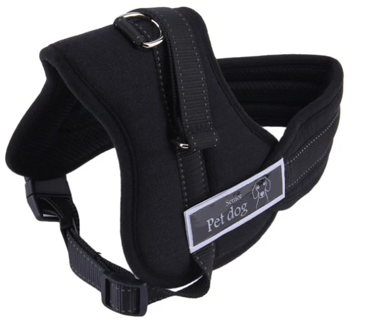 Ham pentru caini SENIOR DOG L (70 90cm)