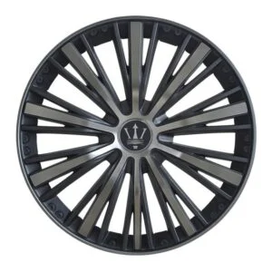 C6 20gm sf.jpg