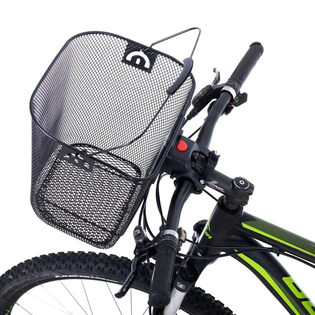 KX506883206.jpg